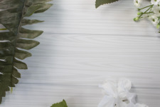 nature leaves flatlay